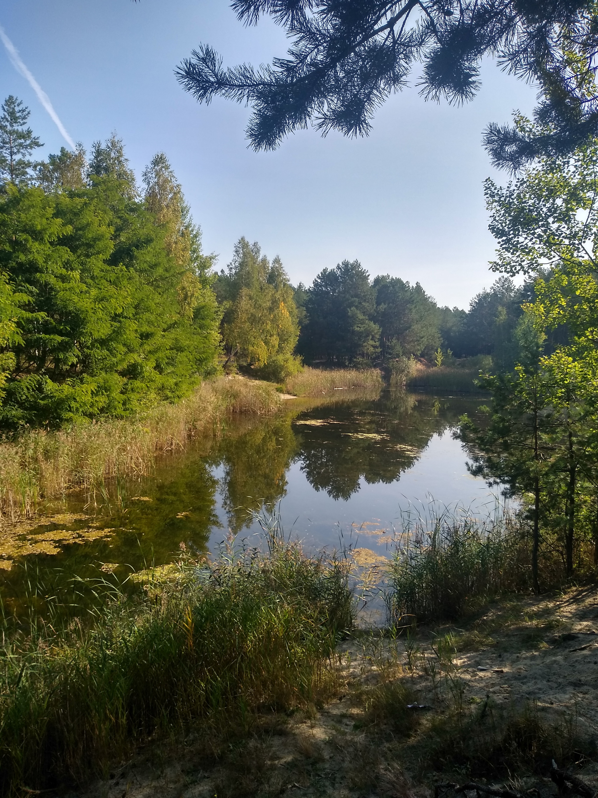 September - My, Brest, Longpost, Autumn, beauty of nature, Nature