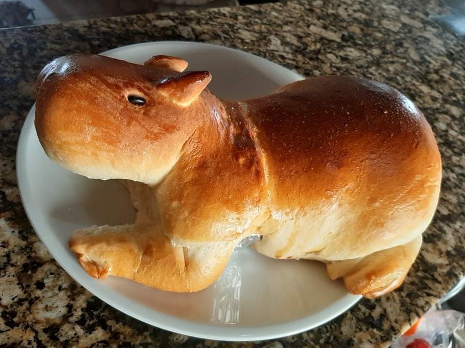 Bread in the shape of a capybara - The photo, Food, Bread, Capybara, Animals