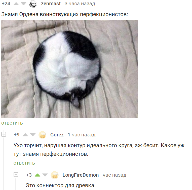 Perfectionist Banner - Perfectionism, cat, Comments on Peekaboo, Screenshot