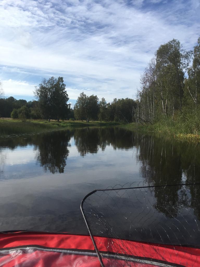 Fishing autumn 2020 | River catch on Lake Pravdinskoye - My, Fishing, Inflatable boat, Video, Longpost