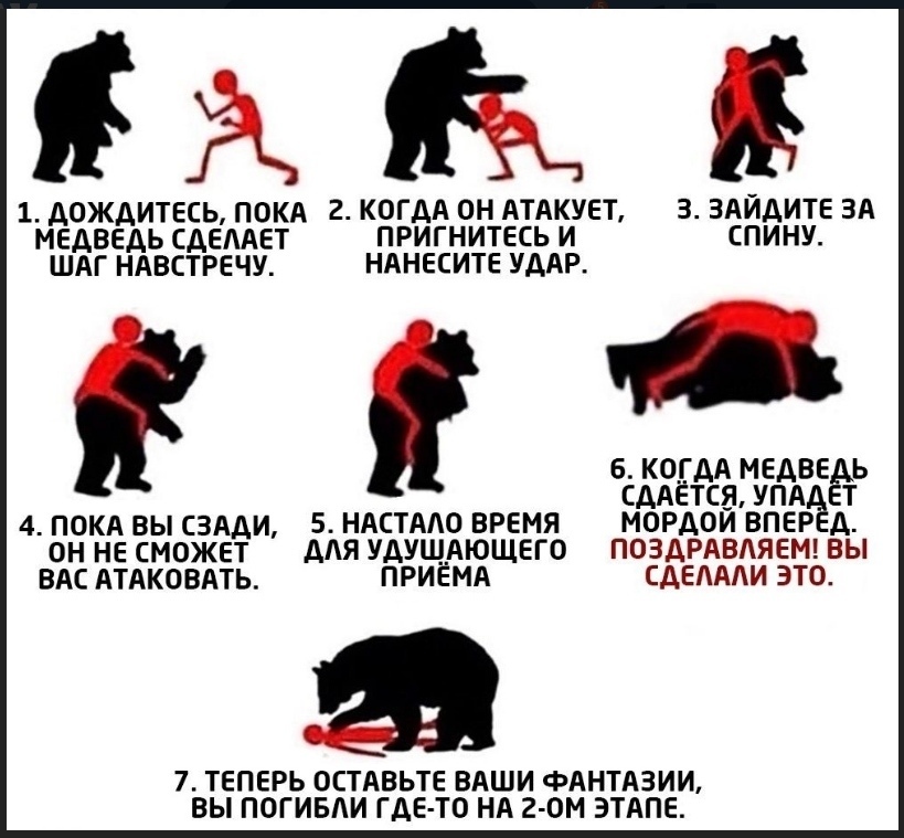 Wrestling lessons - The Bears, Fight