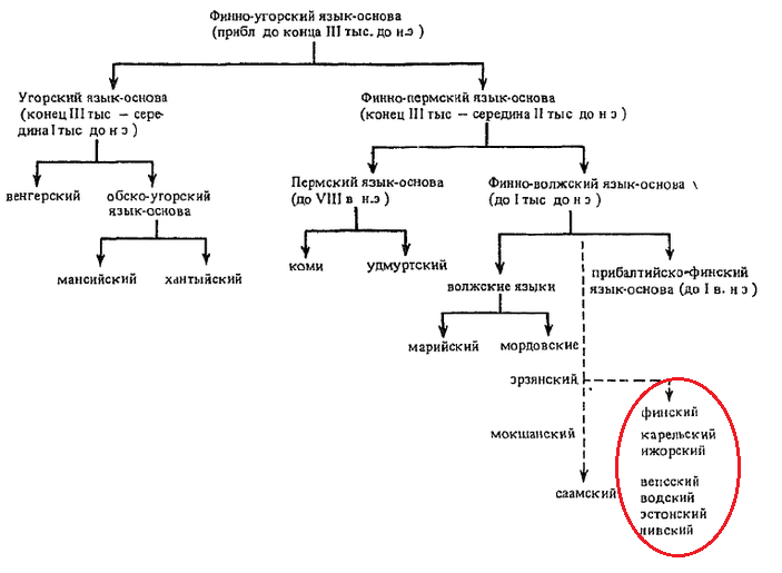 Russianisms in Finnish - My, Linguistics, Boring linguistics, Finnish language, Russian language, Longpost