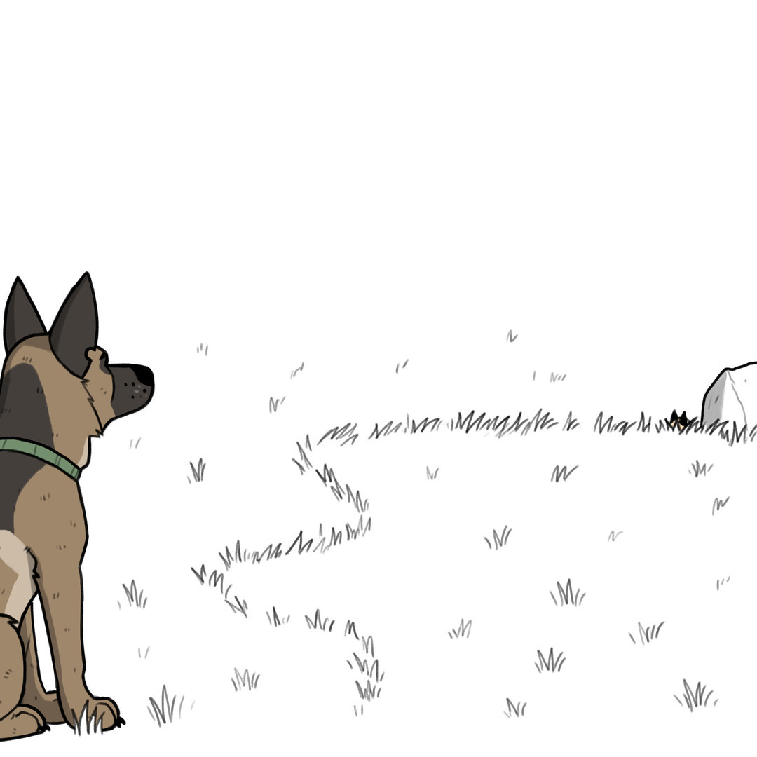 Serengeti - Pet foolery, Brutus and Pixie, Comics, Longpost, cat, Dog, Grass