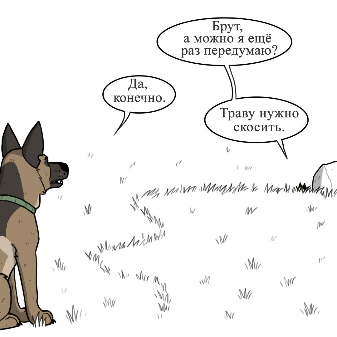 Serengeti - Pet foolery, Brutus and Pixie, Comics, Longpost, cat, Dog, Grass