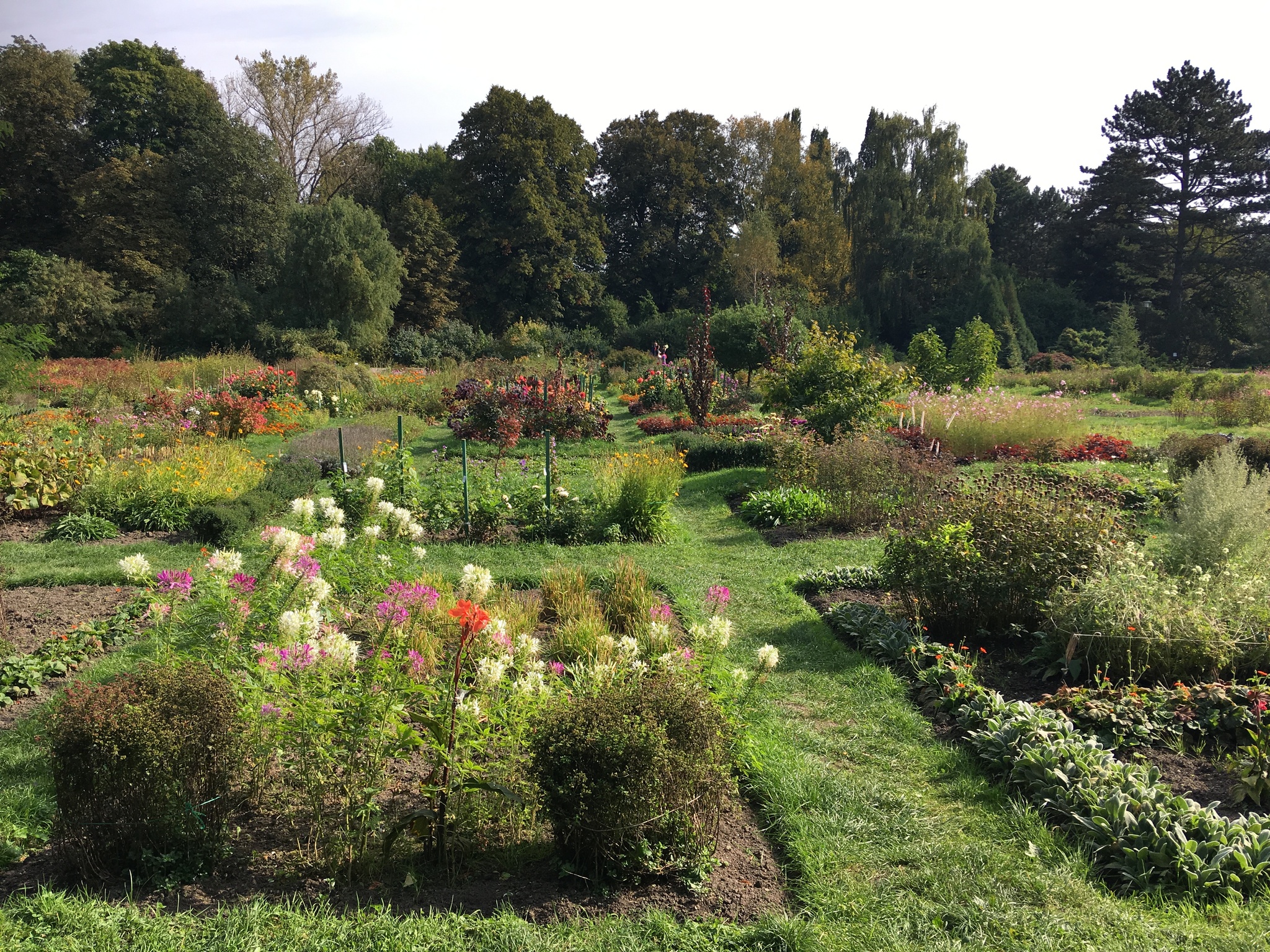 Virtual Walk Through The Botanical Garden In Kaliningrad Pikabu Monster