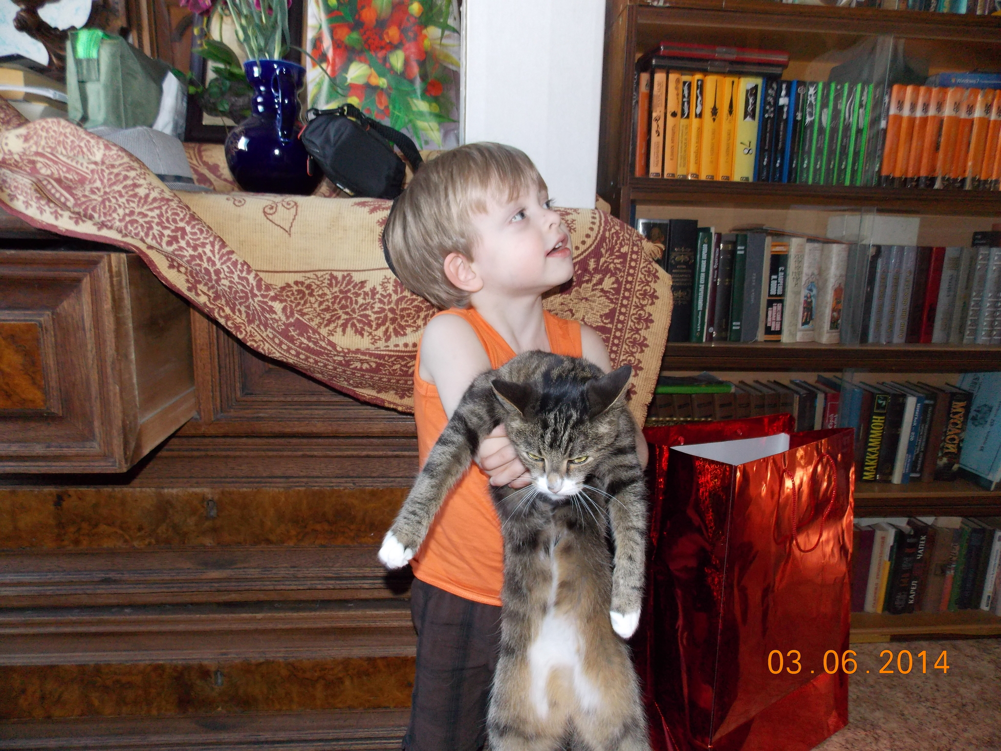 Reply to the post Gotcha - My, The photo, Childhood, Milota, cat, Patience, Reply to post, Children