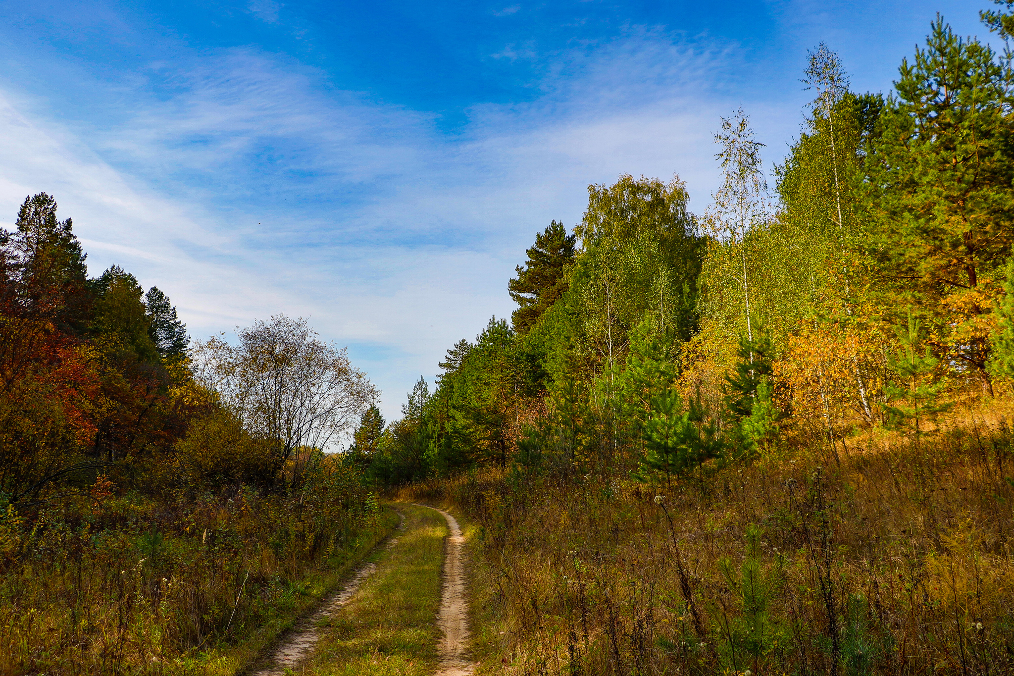 Landscape - My, The photo, Landscape, Autumn, Nature, Canon 800D, HDR, Longpost, Autumn leaves