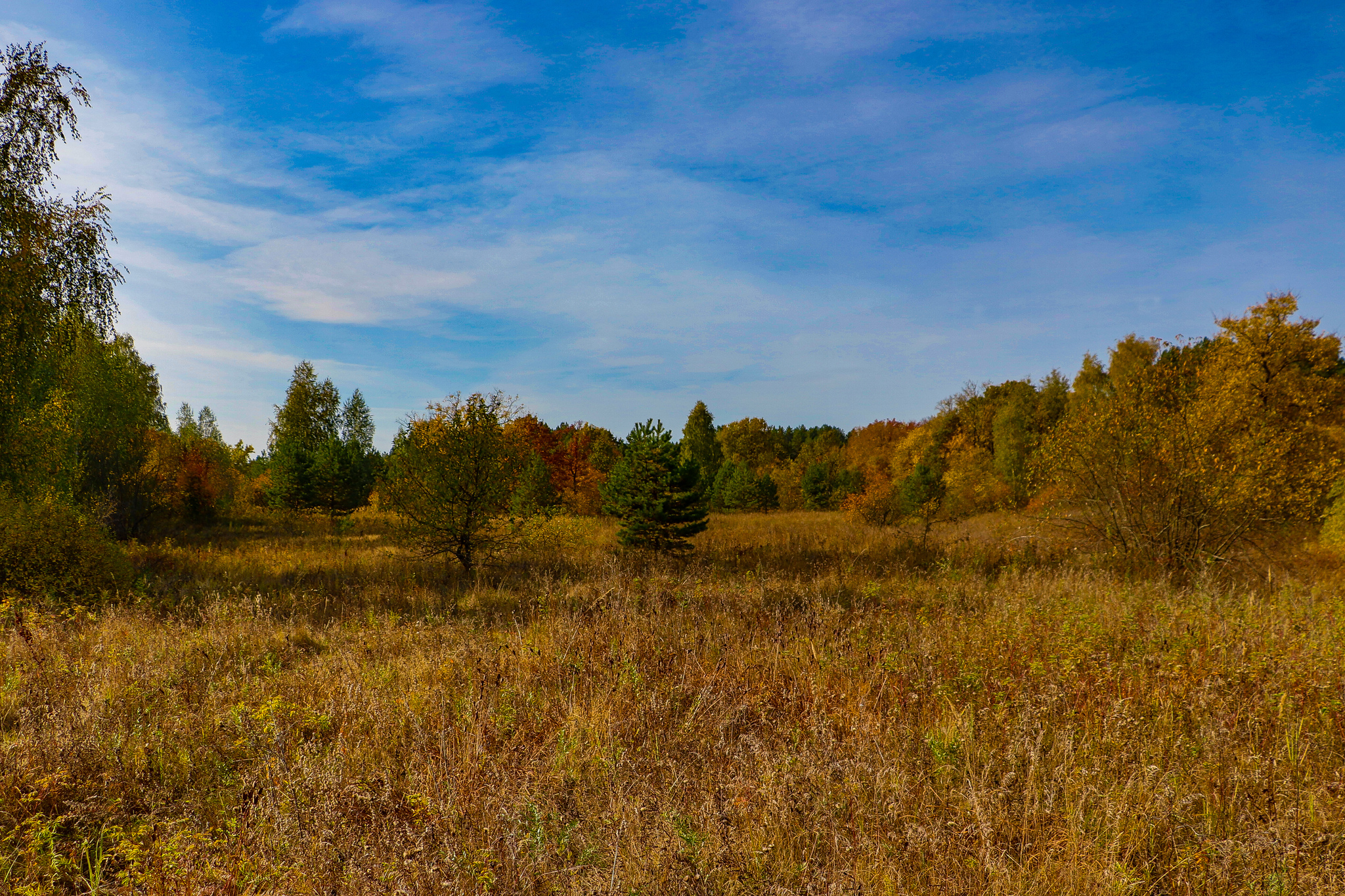 Landscape - My, The photo, Landscape, Autumn, Nature, Canon 800D, HDR, Longpost, Autumn leaves