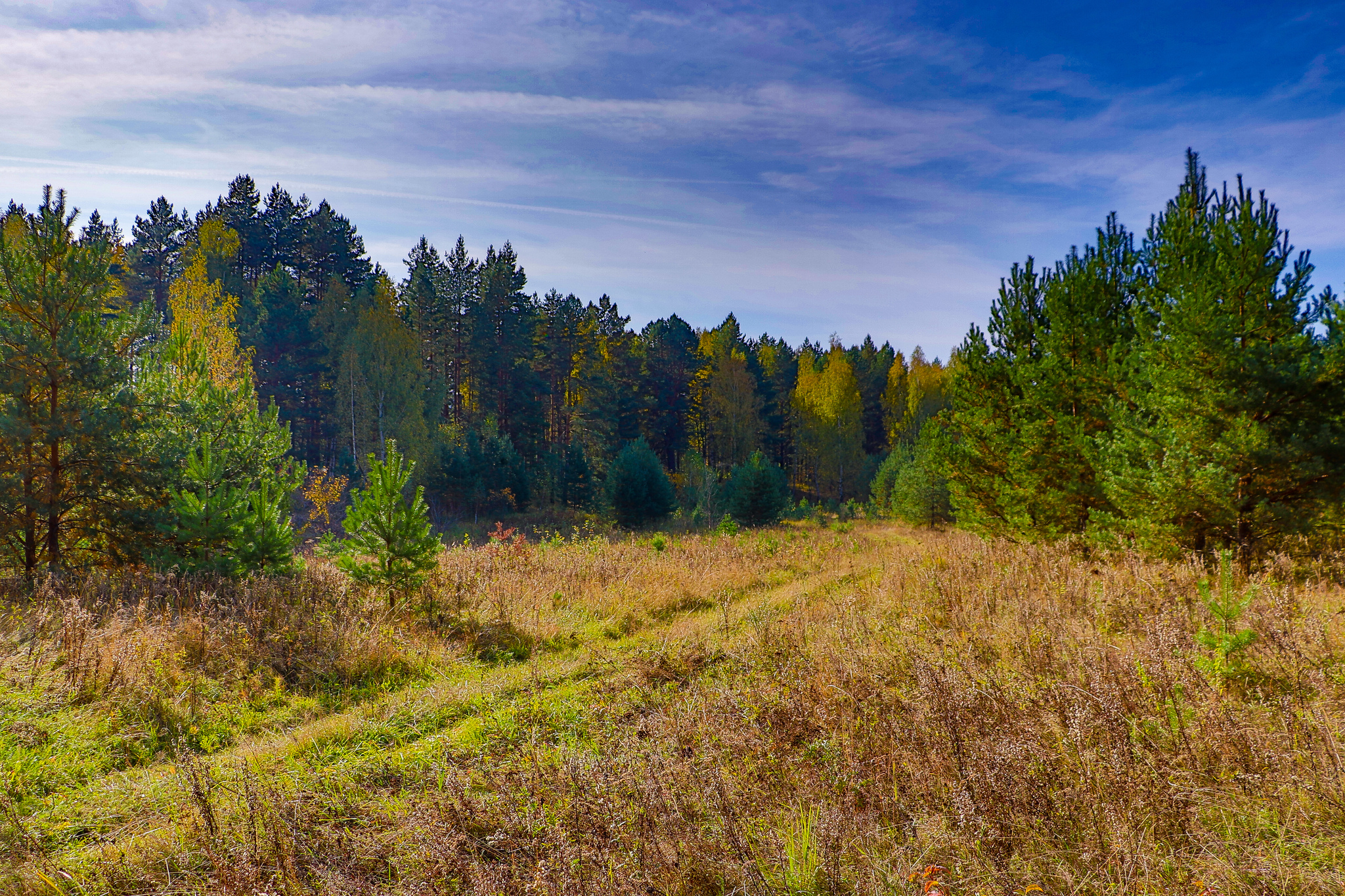 Landscape - My, The photo, Landscape, Autumn, Nature, Canon 800D, HDR, Longpost, Autumn leaves