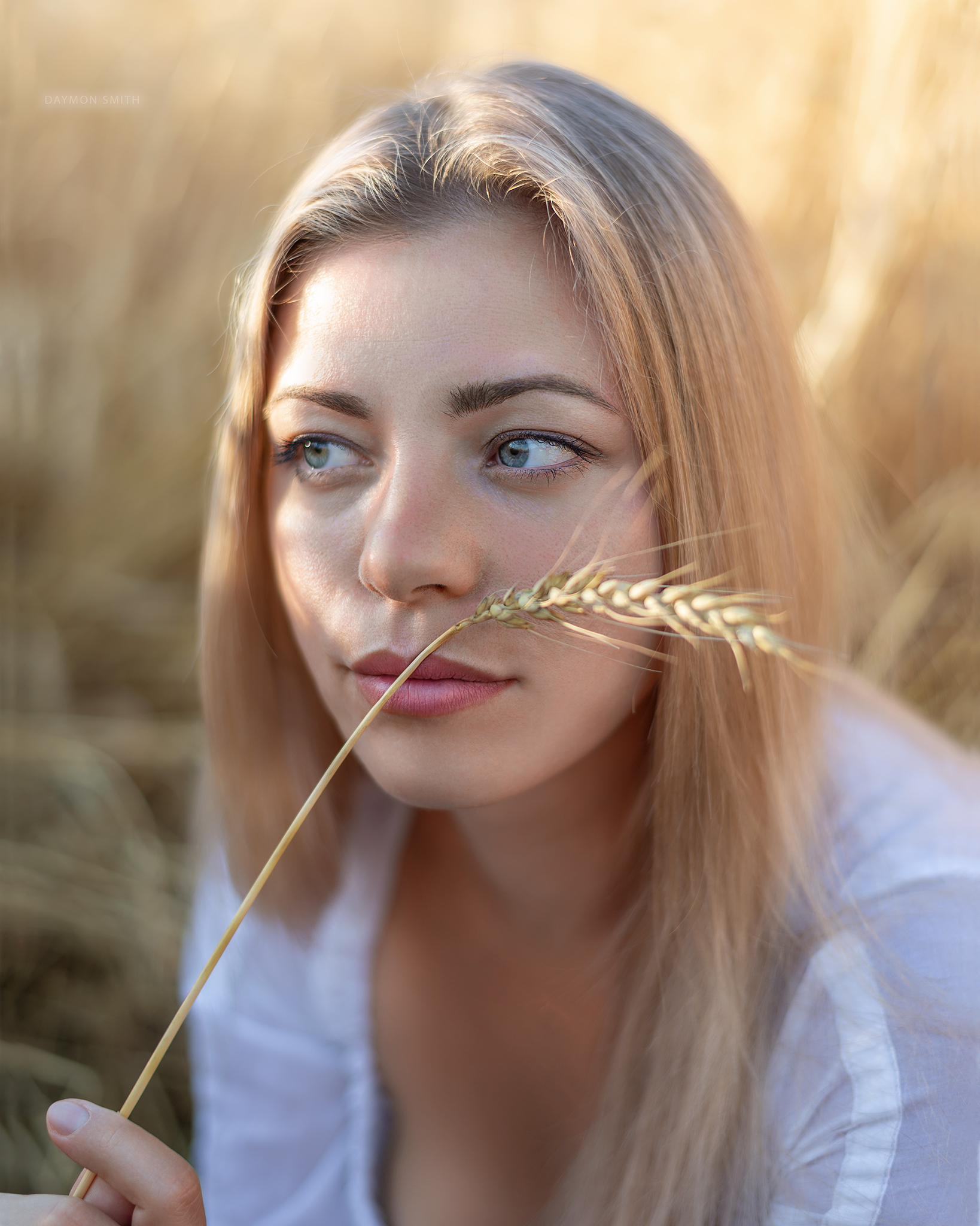 Summer - My, The photo, Summer, Barley