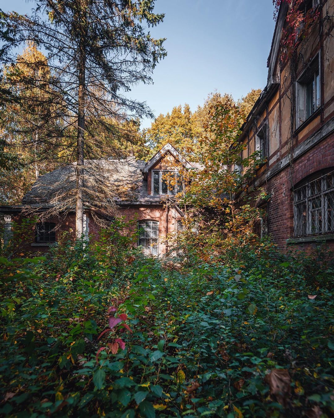 Дача Великого Князя Бориса Владимировича Романова в Царском селе | Пикабу