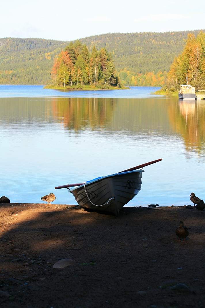 Paanajarvi. Republic of Karelia - My, Карелия, Paanajarvi, Nature, Road trip, Longpost, The photo