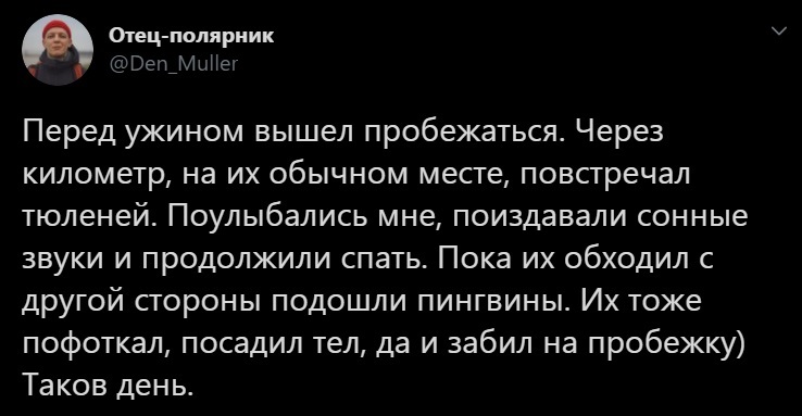 Пойдем. Считать. Пингвинов! [ твиттер полярника ] - Пингвины, Фотография, Twitter, Антарктида, Тюлень, Социальные сети, Длиннопост