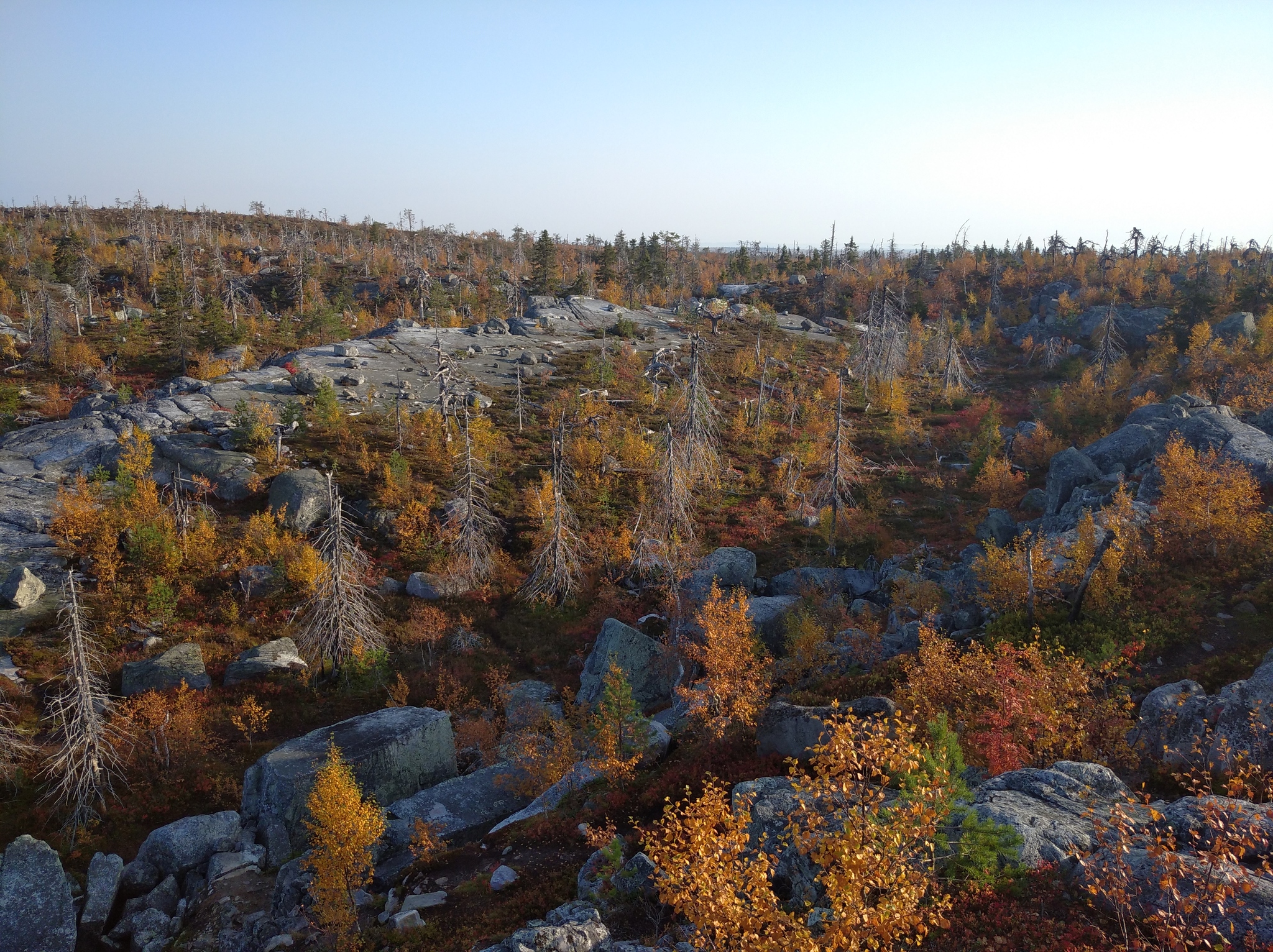 Autumn Karelia - My, Карелия, Here's the product, The rocks, Ladoga lake, The nature of Russia, Autumn, Longpost, Nature