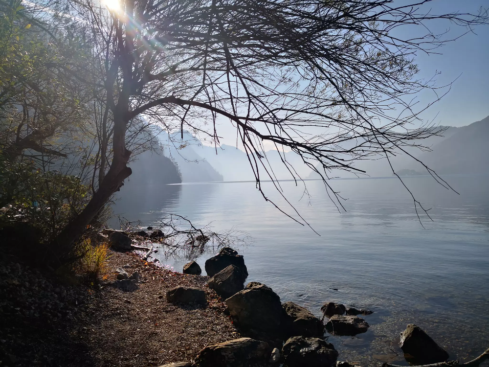 Поход. Тропа вокруг Лаудахзее (Laudachsee). Австрия, Гмунден - Моё, Австрия, Поход, Озеро, Пеший туризм, Путешествия на выходные, Тропы, Хорошая погода, Лебеди, Длиннопост