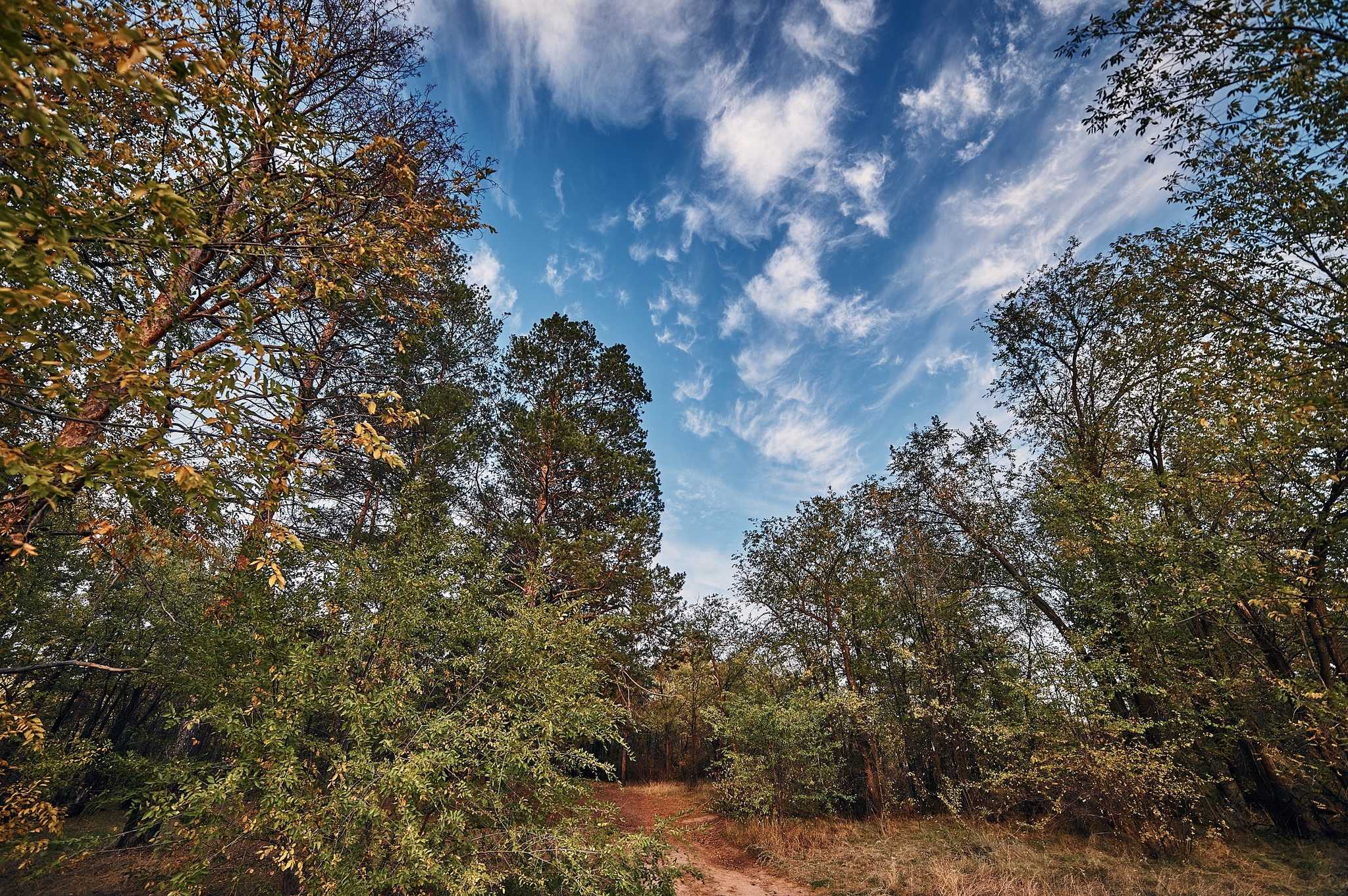 Autumn sketches - My, Kazakhstan, Uralsk, Nikon, Landscape, The photo, Longpost