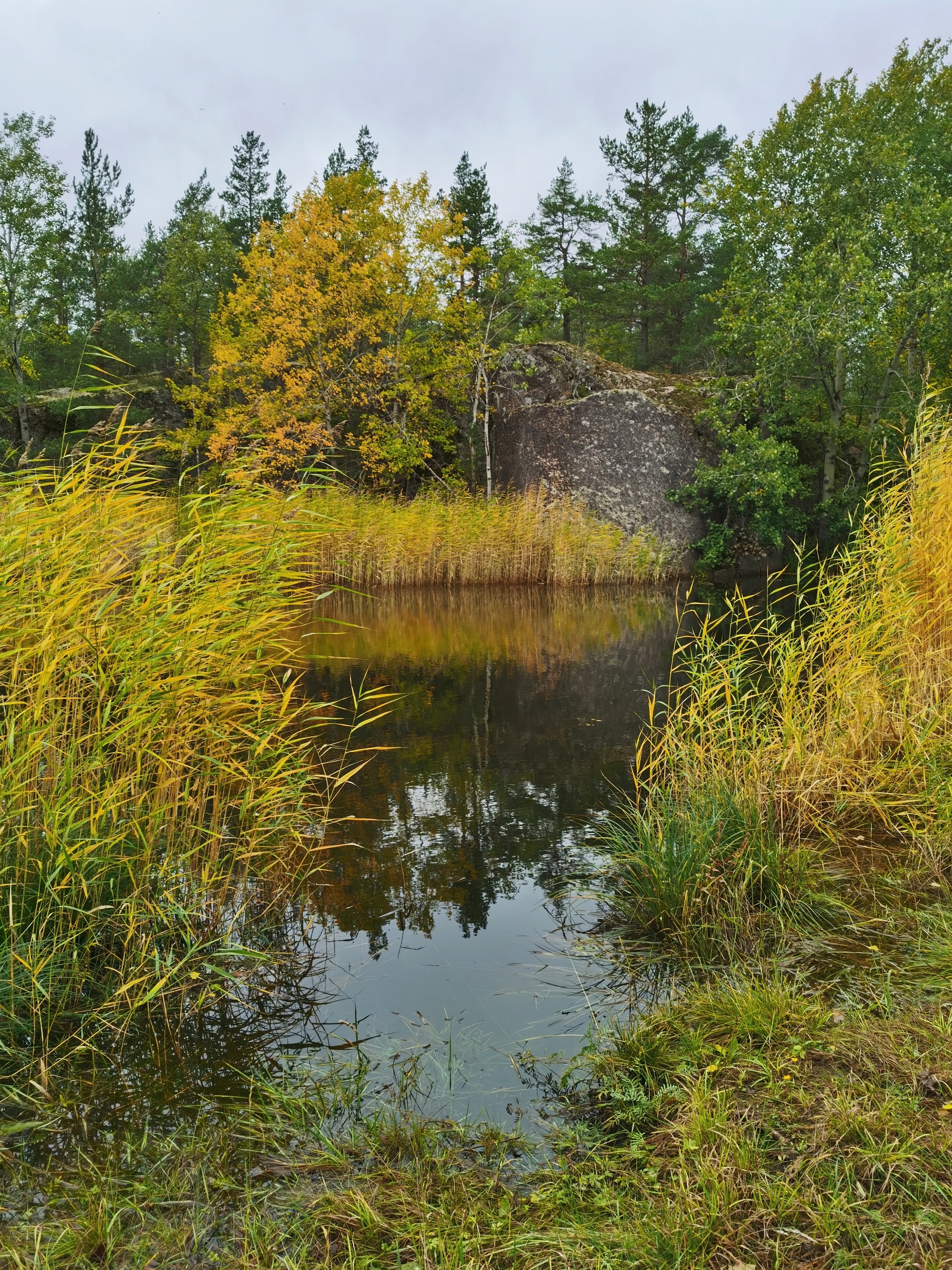 Gustoy Island. The Gulf of Finland - My, Mobile photography, Leningrad region, The Gulf of Finland, Island, Autumn, Landscape, Russia, Longpost, Nature