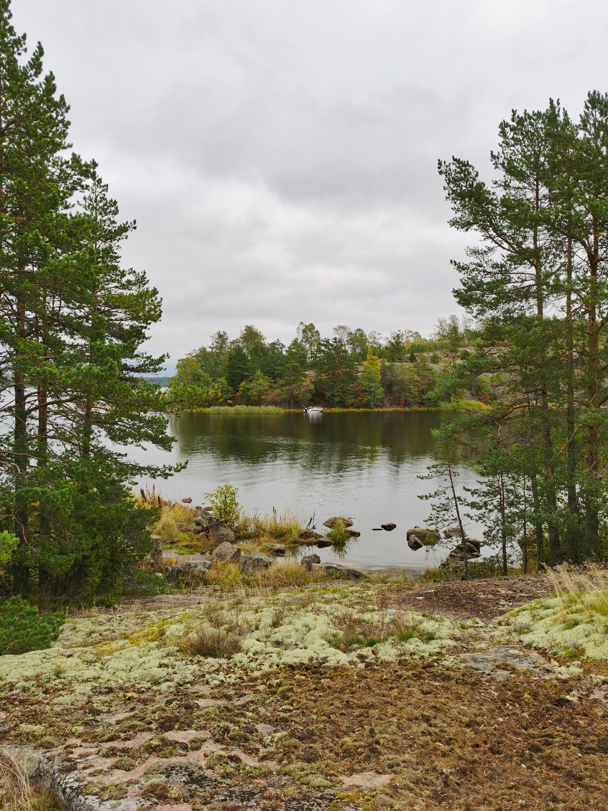 Gustoy Island. The Gulf of Finland - My, Mobile photography, Leningrad region, The Gulf of Finland, Island, Autumn, Landscape, Russia, Longpost, Nature