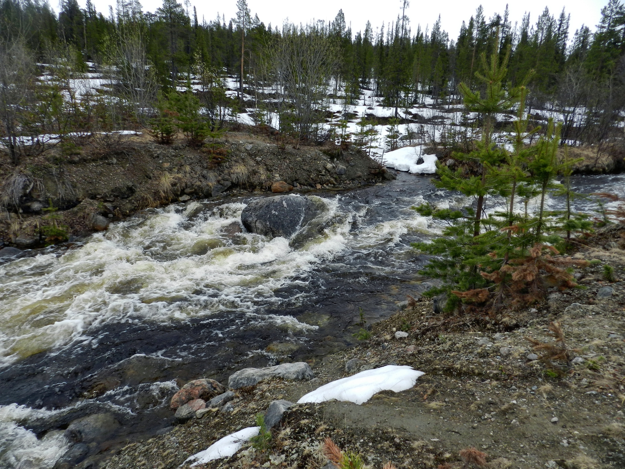 It's finally spring! We mastered the route and woke up the swamp! Winch tests! Murmansk. 4x4. TumbleweedKola - My, Renault Duster, UAZ, Toyota Land Cruiser, Murmansk, Kola Peninsula, Swamp, Windlass, Offroad, 4x4, Niva, Pokatushki, Spring, Snow, Lexus, Mitsubishi, Fun, Weekend travel, North, Video, Longpost