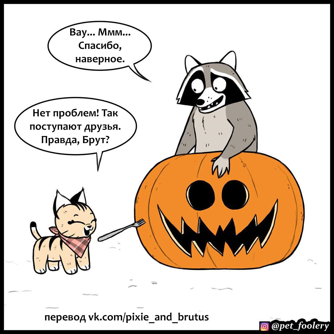 Live pumpkin - Comics, Animals, Humor, Longpost, Pumpkin, Brutus and Pixie, Pet foolery