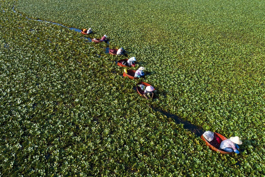 The most powerful photos of September 2020 according to BuzzFeed - My, Buzzfeed, The photo, Interesting, Peace, Informative, 2020, Longpost