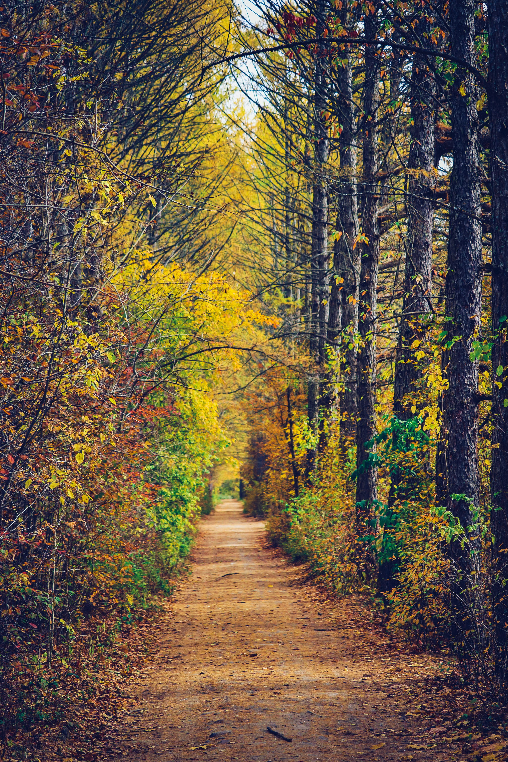 Cycling - My, The photo, A bike, Nature, Longpost