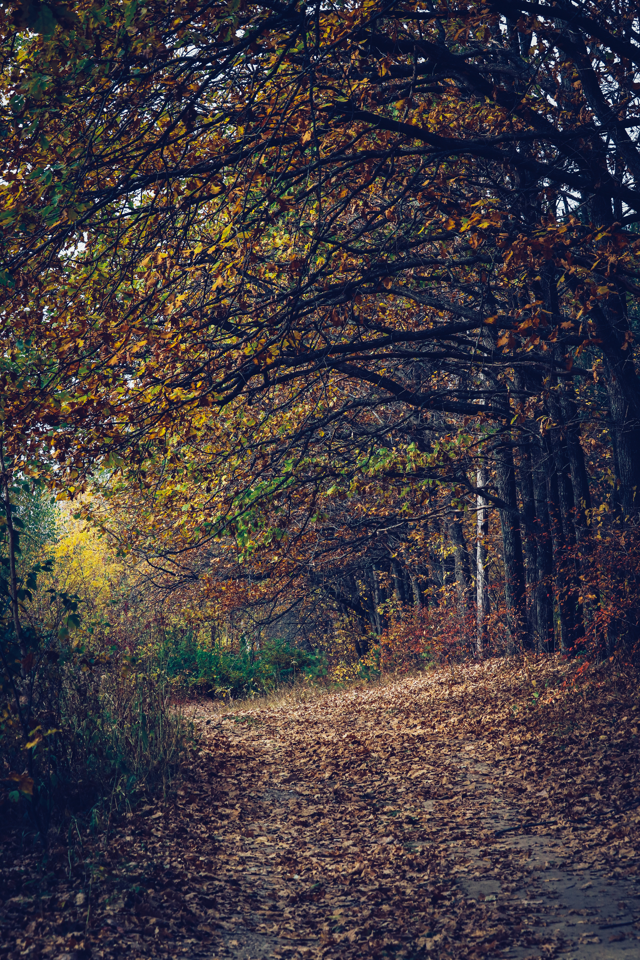 Cycling - My, The photo, A bike, Nature, Longpost