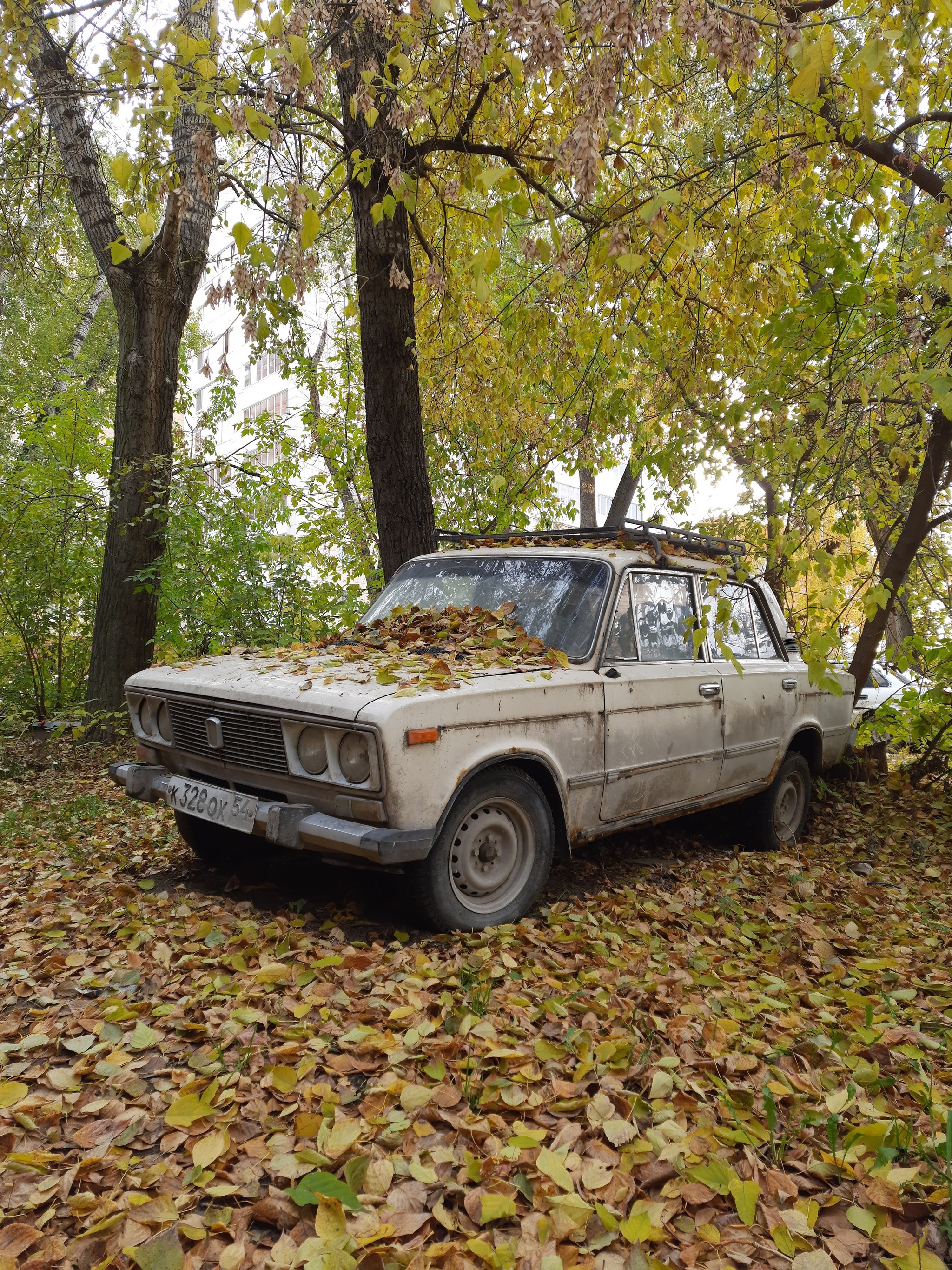 Старая Рухлядь (Часть 2)... - Моё, Новосибирск, Осень, Ретро, Мобильная фотография, Старое, Длиннопост