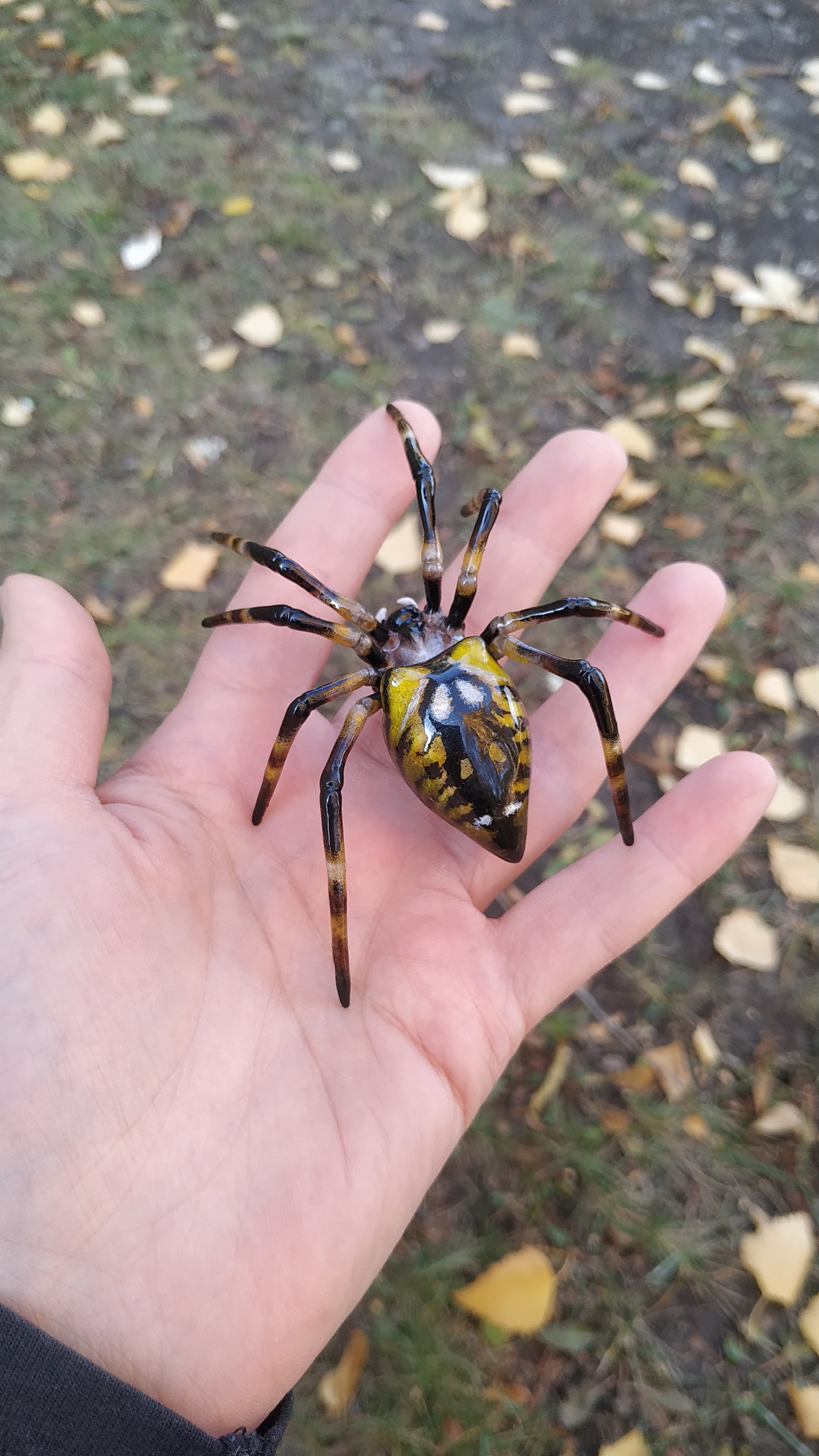 Spider brochure - My, Needlework, Needlework without process, Polymer clay, Spider, Decoration, Longpost