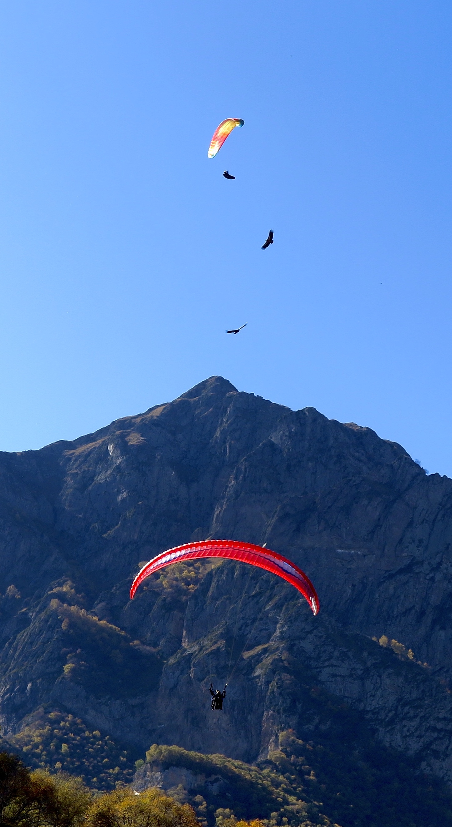 Eagles - My, Chegem, Eagles, Kabardino-Balkaria, Paragliding