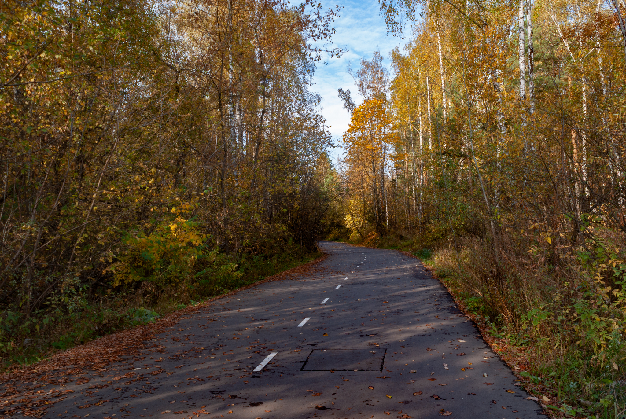 October was great this year - My, The photo, Lytkarino, Autumn, Career, Tree, Water, Longpost