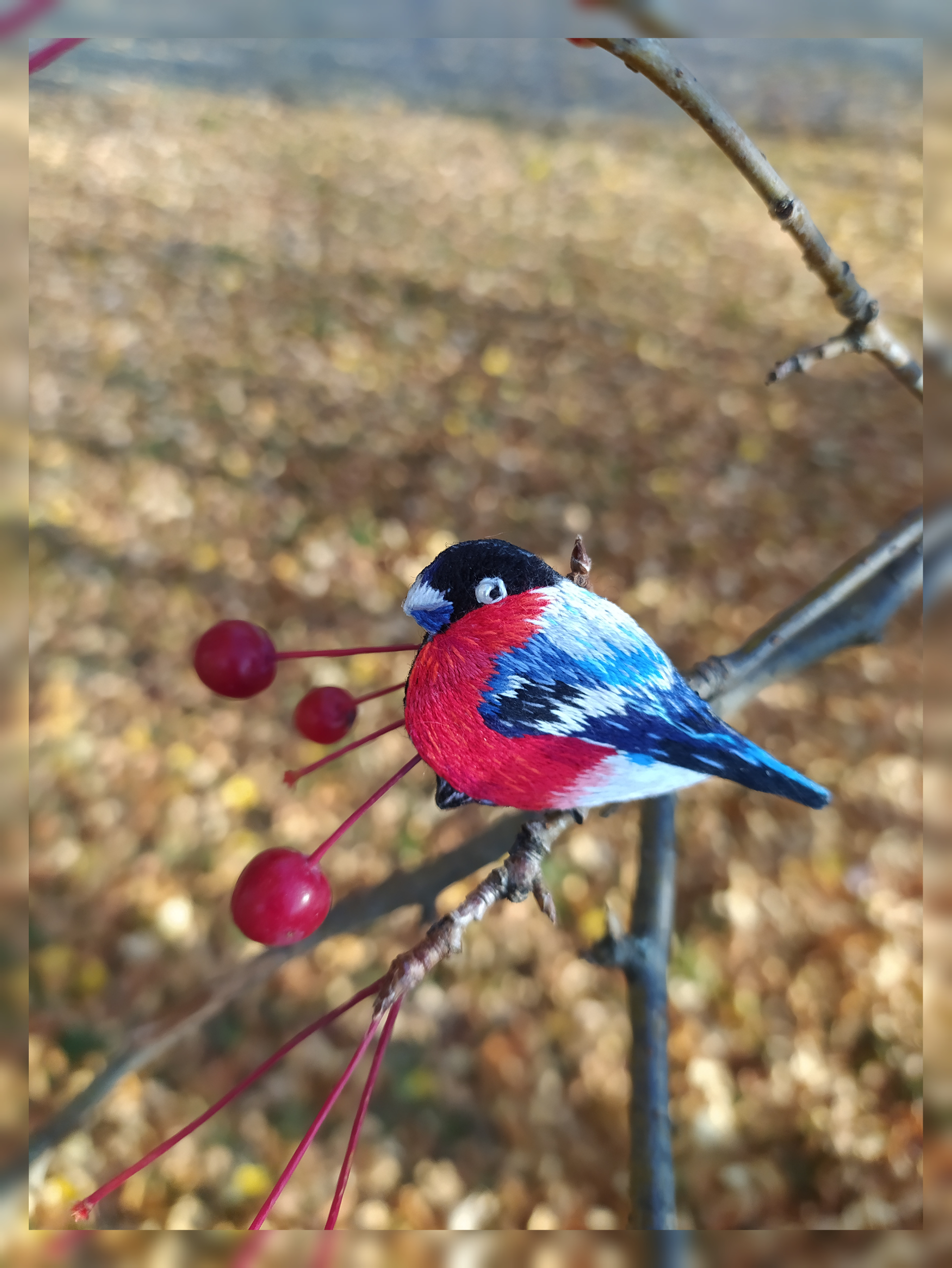 Brooch Bullfinch - My, Needlework without process, Satin stitch embroidery, Embroidery, Bullfinches, Red, Brooch, Handmade, Decoration, Birds, Floss, Longpost