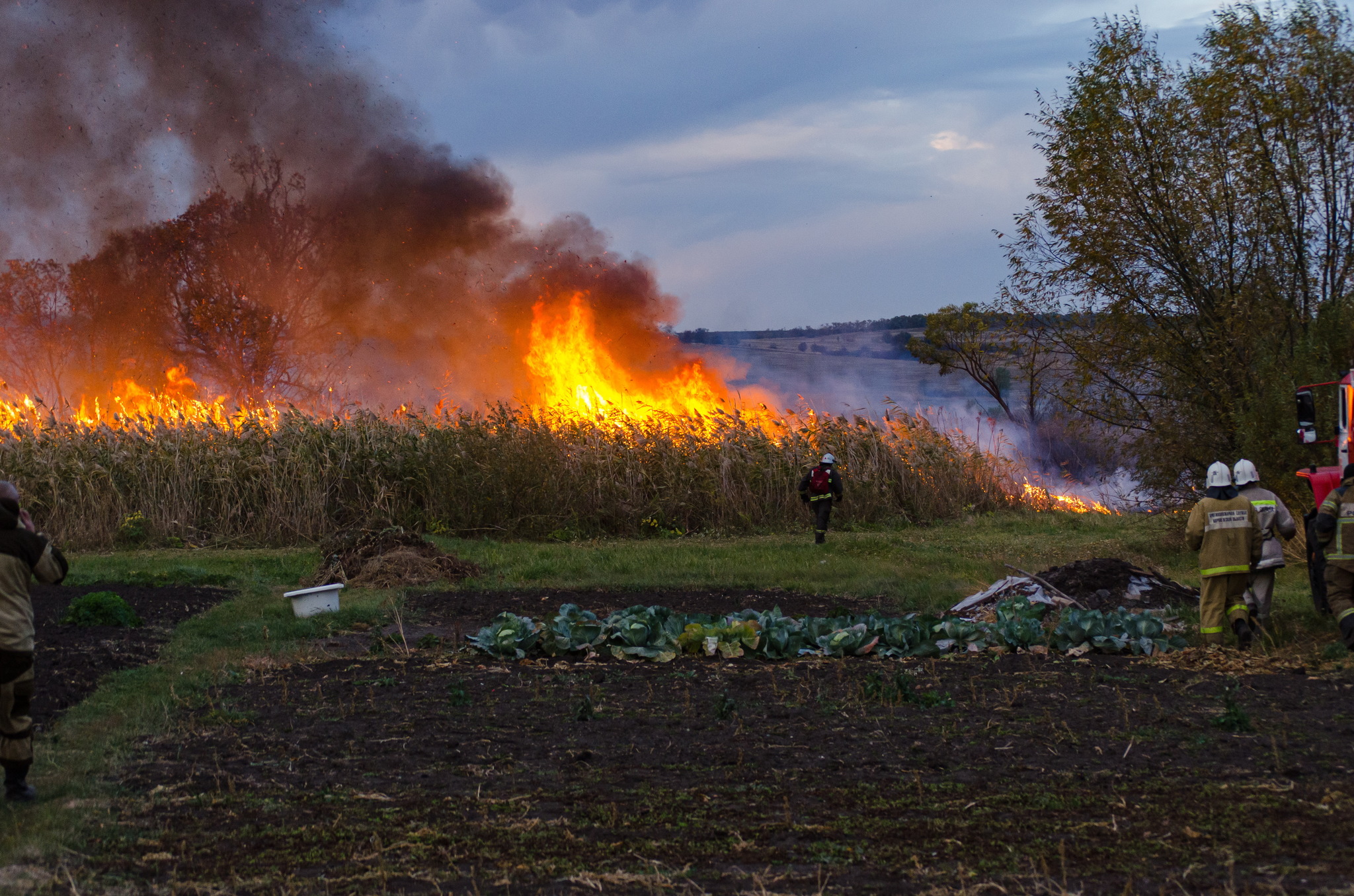 Fire element - My, Fire, Firefighters, Fire, Longpost