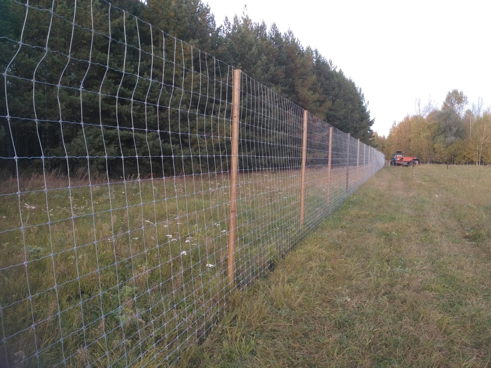 Construction of a deer farm - My, Reindeer herder, Reindeer husbandry, Spotted deer, Farm, Aviary, Longpost