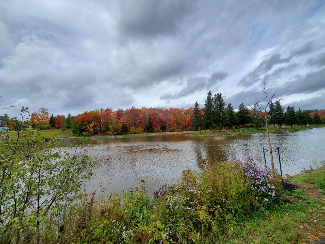 Autumn in Moncton, Canada - The photo, Canada, Nature, Autumn, beauty of nature, Longpost, Autumn leaves