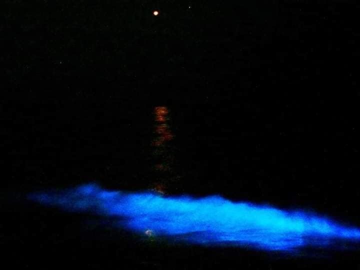 The glow of the Black Sea or how black the Black Sea is? - 