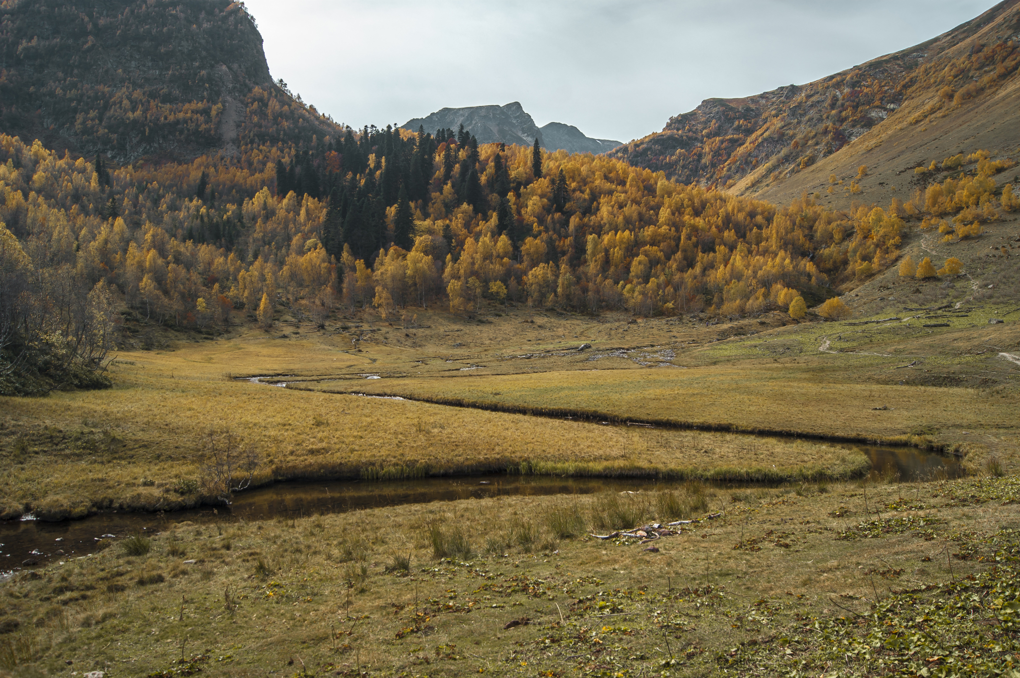 Mountain autumn - My, The mountains, Autumn, Tourism, Hike, The photo, Beginning photographer, Forest, Longpost, Nature