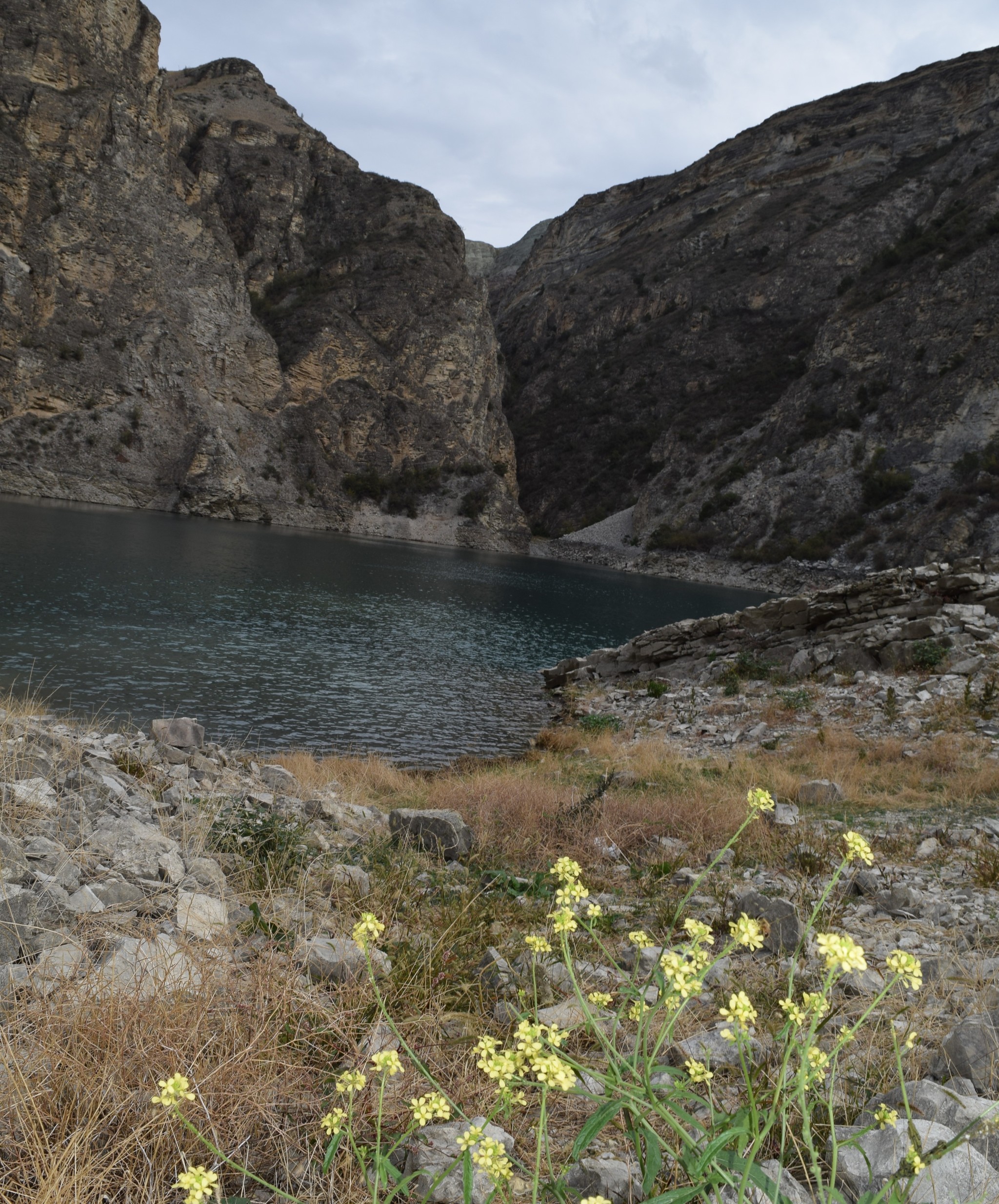 CHIRKEY RESERVOIR (Dagestan) - My, Dagestan, sights, Caucasus, Travels, Autumn, Longpost