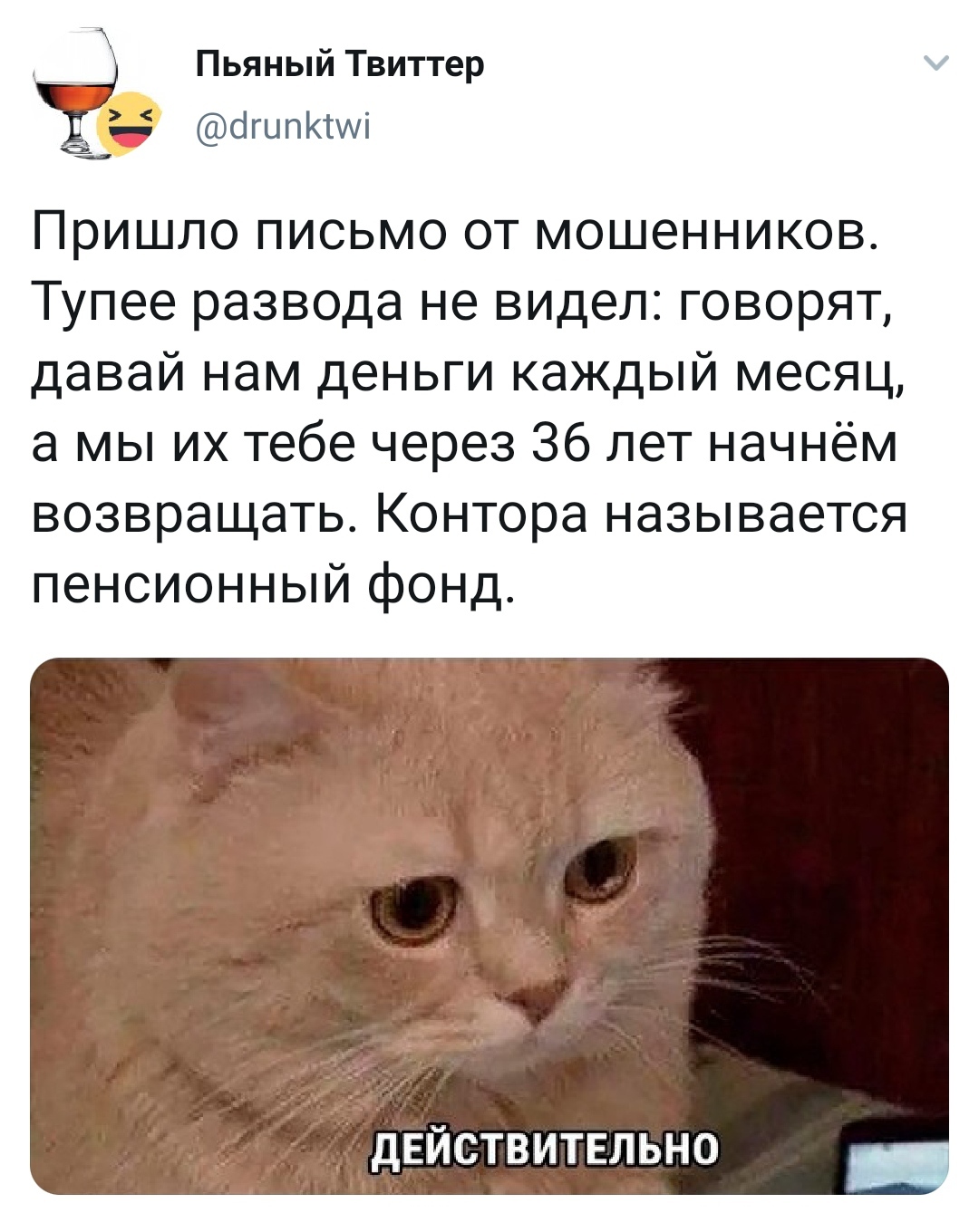 Новый уровень мошенников - Пенсия, Пенсионный фонд, Мошенничество, Twitter, Скриншот, Юмор, Кот