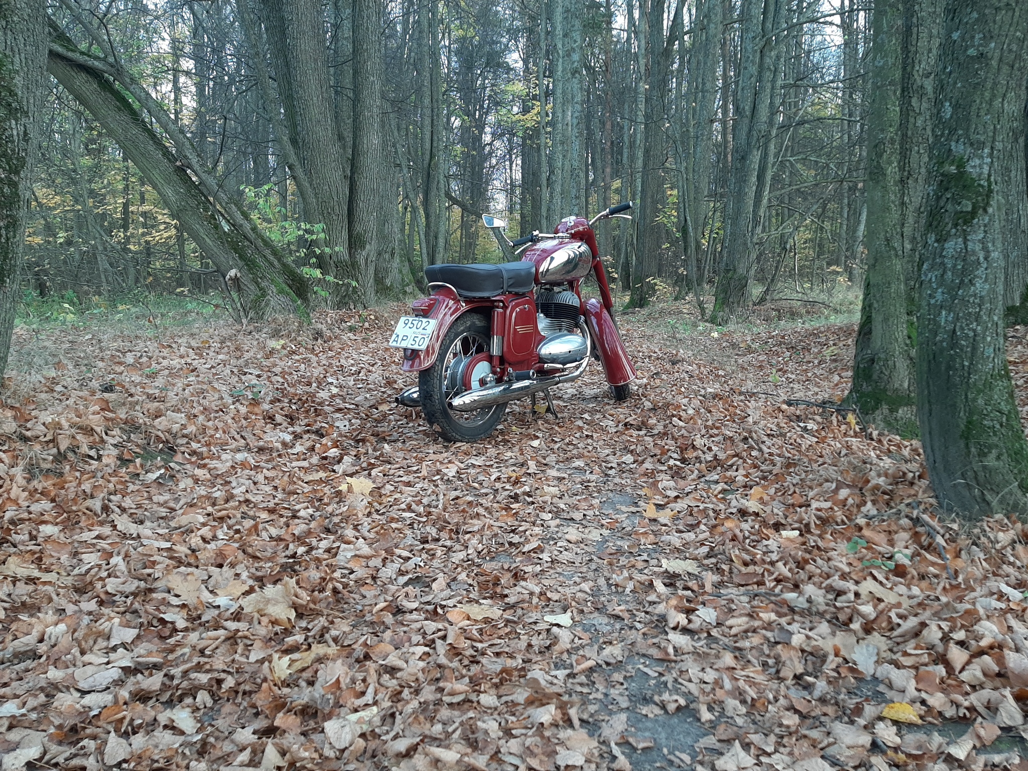 Autumn in the park! - My, Java, Autumn, The park, The photo, Longpost, Moto