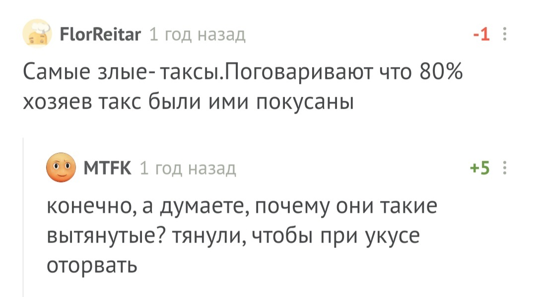 Юмора пост: тайна таксы, скорбь чихуахуа и момент истины - Собака, Такса, Чихуахуа, Шпиц, Овчарка, Человек, Юмор, Комментарии на Пикабу, Длиннопост