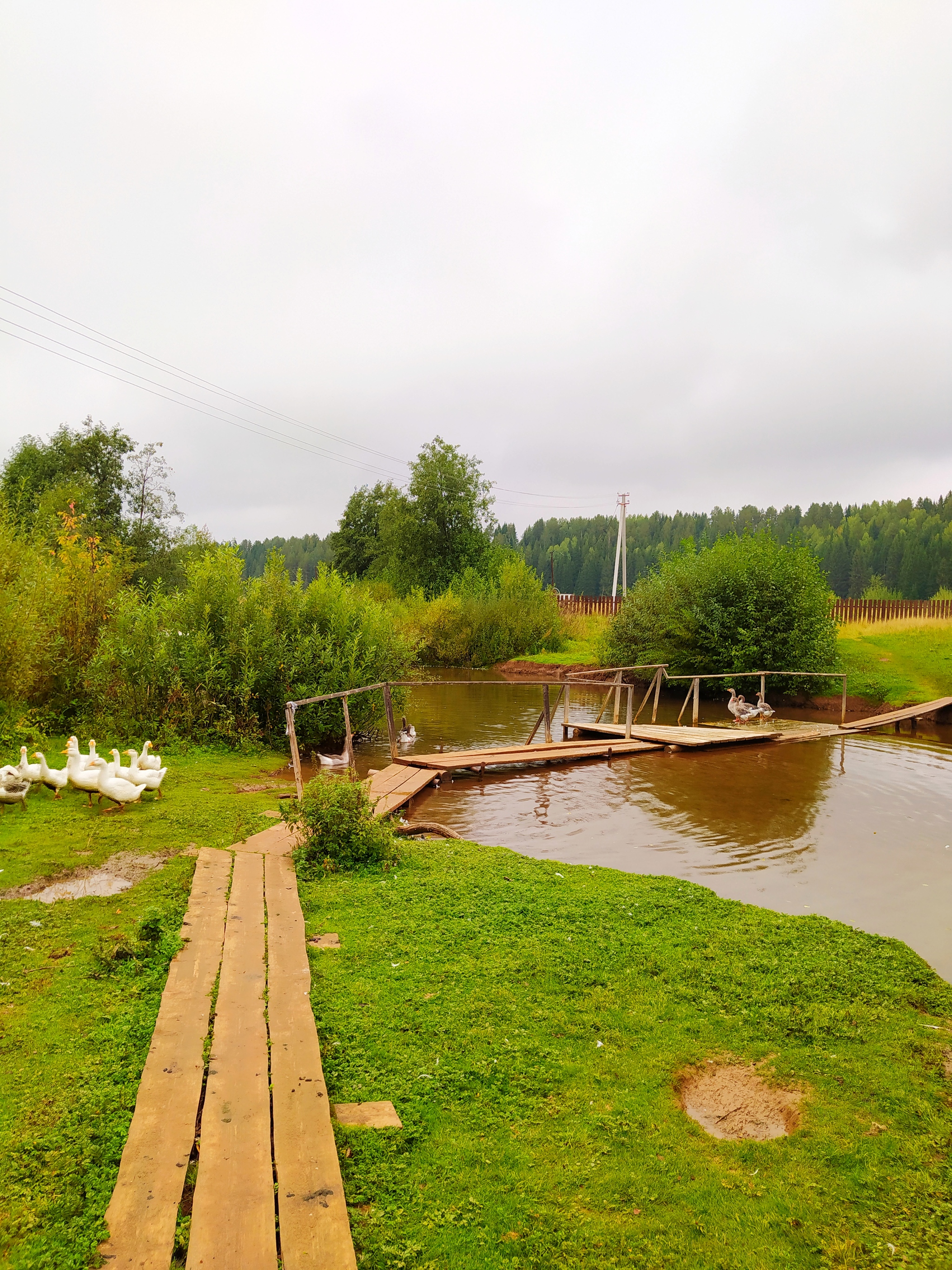 TOP 5 BEAUTIFUL SPRINGS OF UDMURTIA - My, Udmurtia, Spring, Nature, Longpost