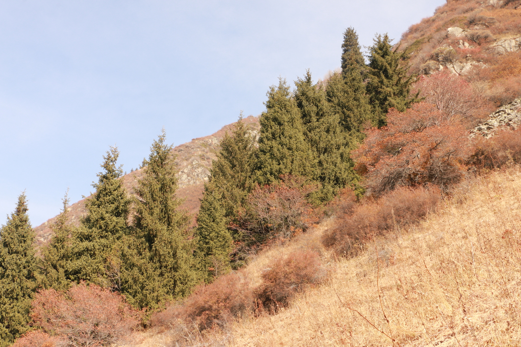 Autumn in the mountains - My, The photo, Autumn, The mountains, Almaty, Longpost