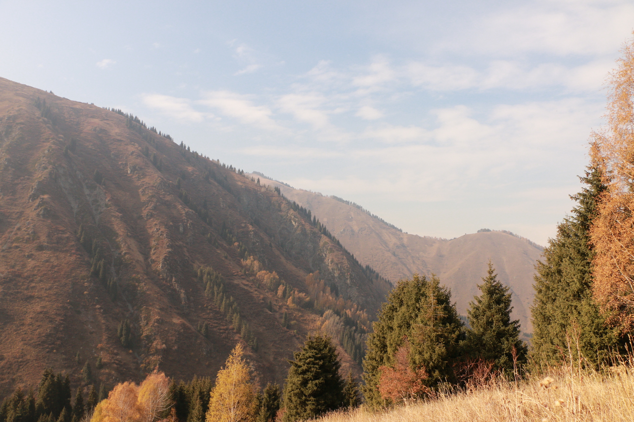 Autumn in the mountains - My, The photo, Autumn, The mountains, Almaty, Longpost