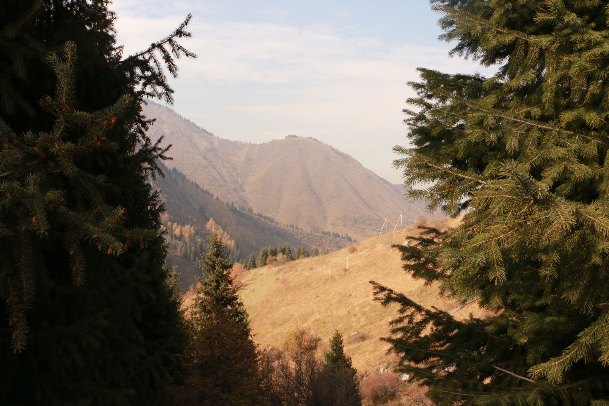 Autumn in the mountains - My, The photo, Autumn, The mountains, Almaty, Longpost