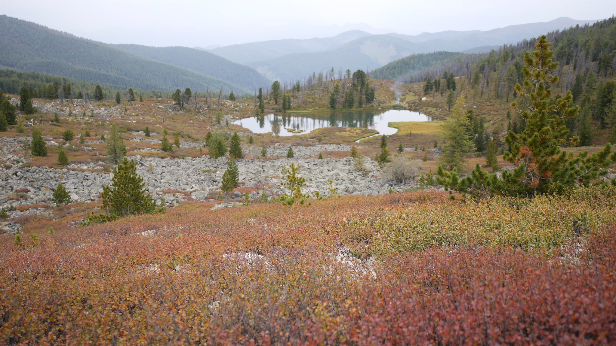 Mountain Altai. Hiking along the Oroktoy trail - My, Mountain Altai, Altai Republic, Tourism, Hike, Hiking, Landscape, Outdoor, Video, Longpost