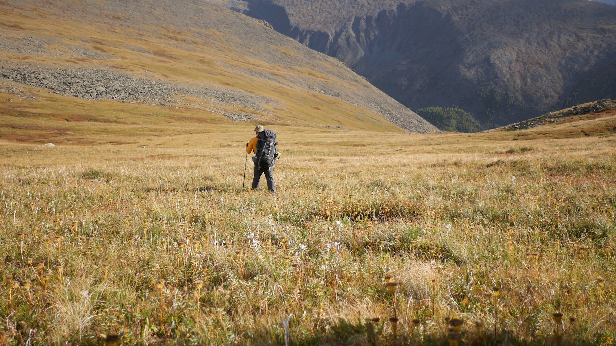 Mountain Altai. Hiking along the Oroktoy trail - My, Mountain Altai, Altai Republic, Tourism, Hike, Hiking, Landscape, Outdoor, Video, Longpost