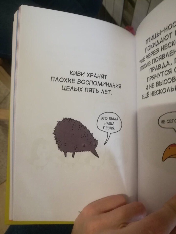 Sad fact. Грустные книги про животных. Крутая книга грустный. Киви могут хранить плохие воспоминания. Плохие воспоминания.