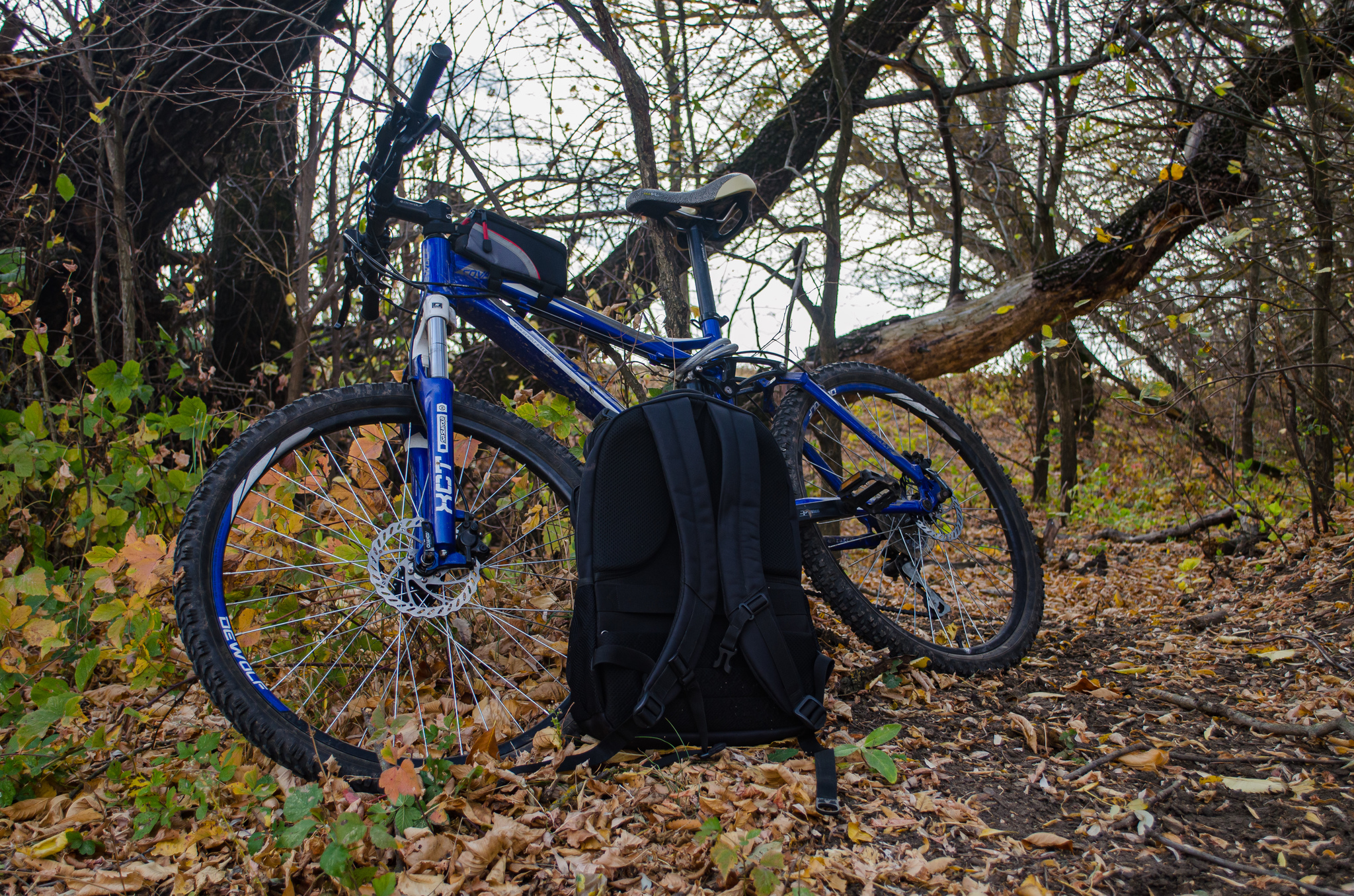 Autumn rides - My, Nikon d5100, The photo, Autumn, Nature, Bike ride, Longpost