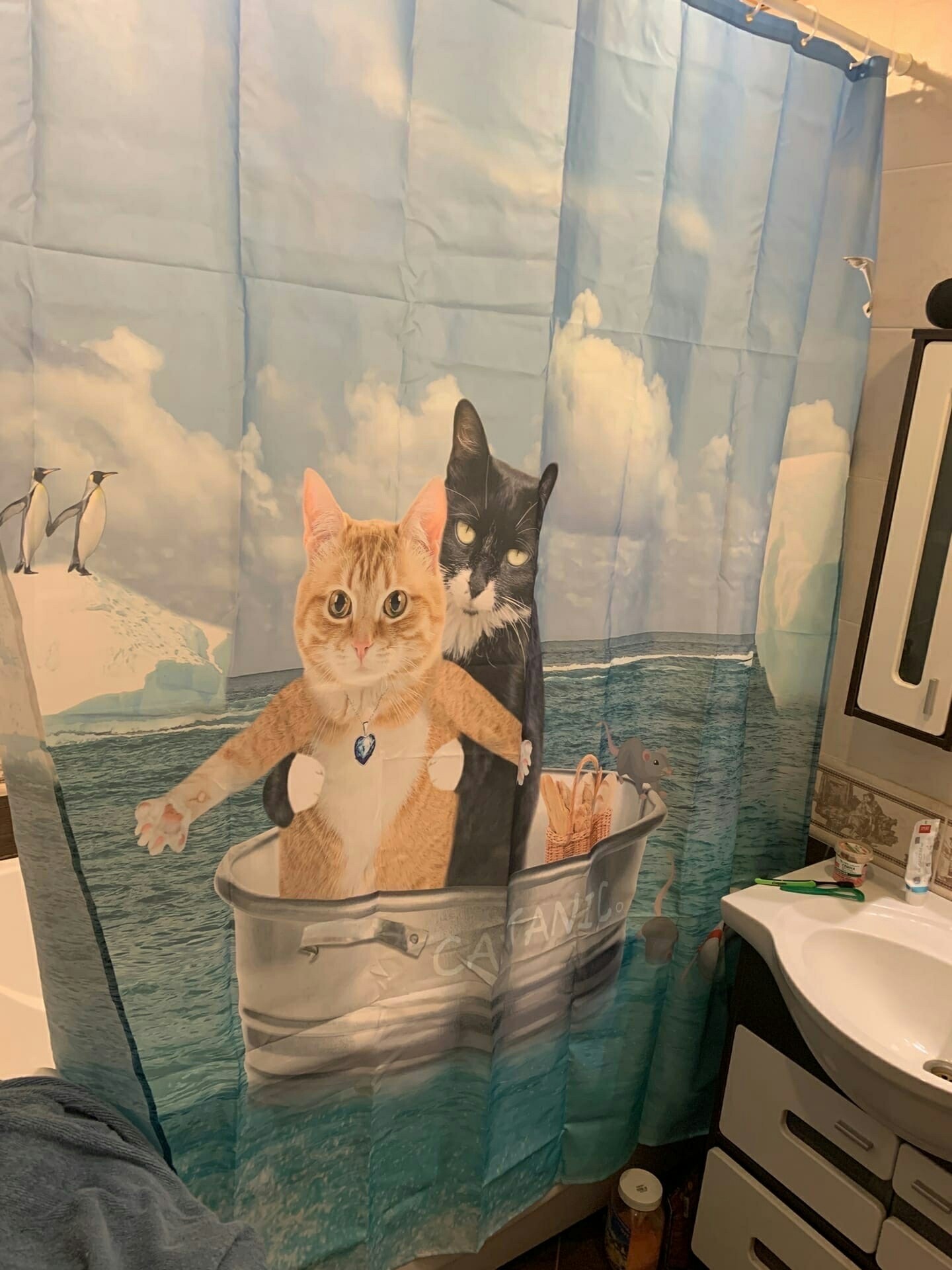 Ванная комната кот. Штора в ванную с котиками. Шторка для ванны с котом. Шторка в ванную с котиками. Кот в ванне.
